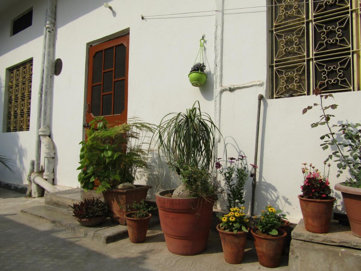 Nadya Homestay For Female & Family Jaipur Exteriör bild